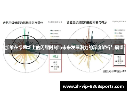 加维在绿茵场上的闪耀时刻与未来发展潜力的深度解析与展望